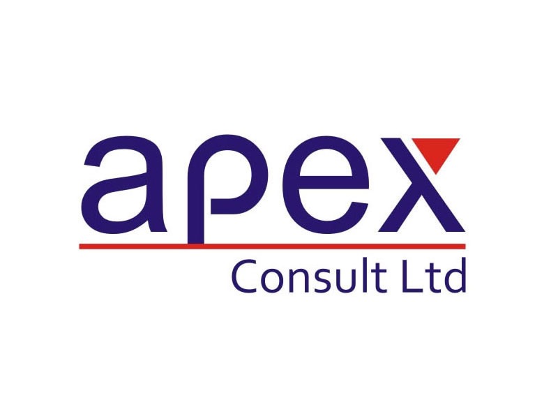 Apex Consult Brand Identity