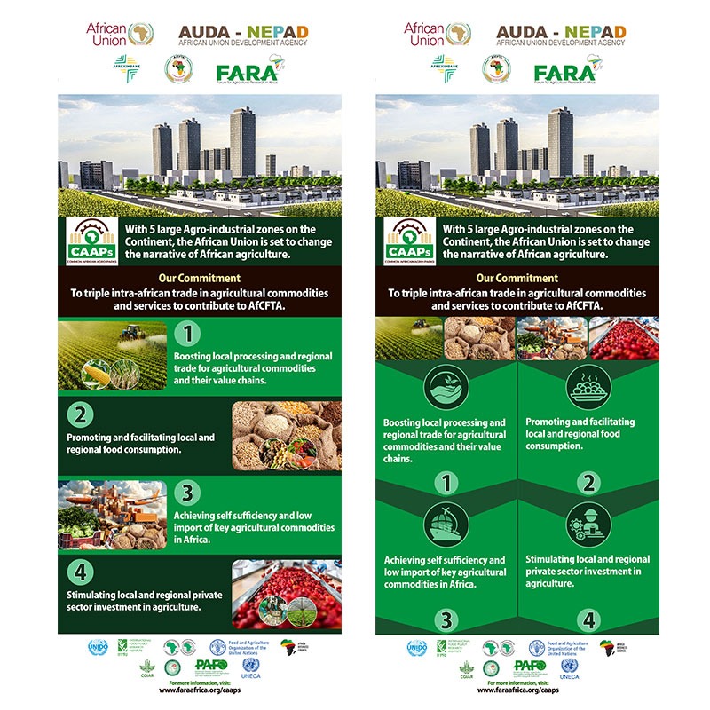 CAAPs Brand Collateral