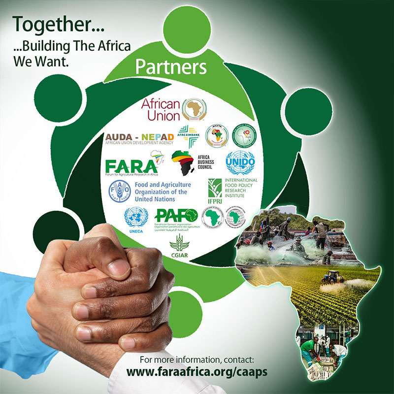 CAAPs Brand Strategy (Digital)