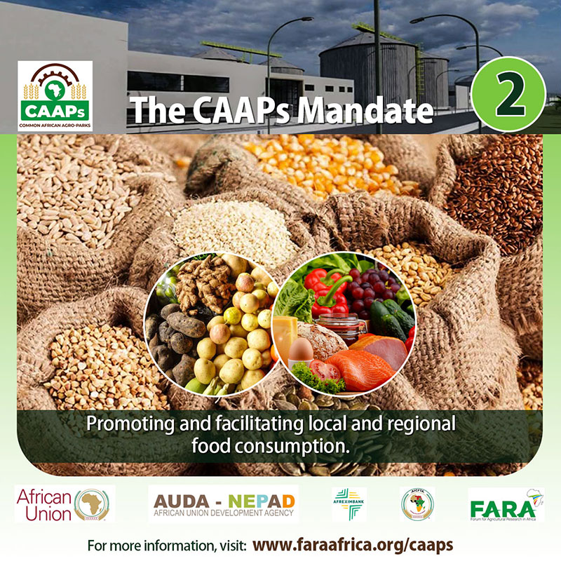 CAAPs Brand Strategy (Digital)
