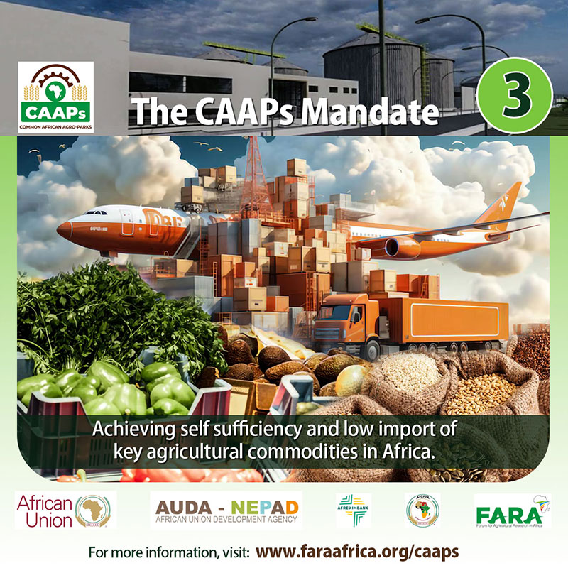 CAAPs Brand Strategy (Digital)
