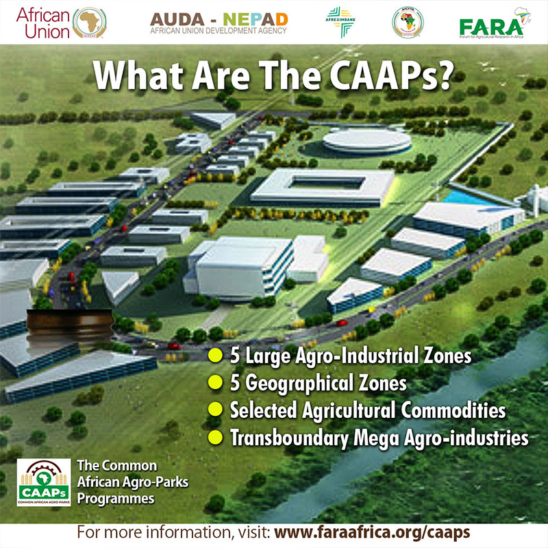 CAAPs Brand Strategy (Digital)