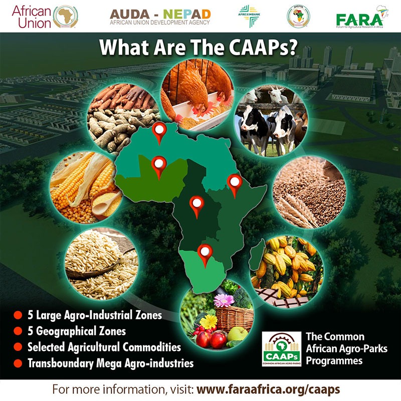CAAPs Brand Strategy (Digital)