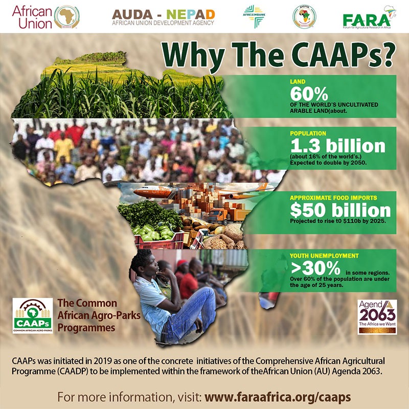 CAAPs Brand Strategy (Digital)