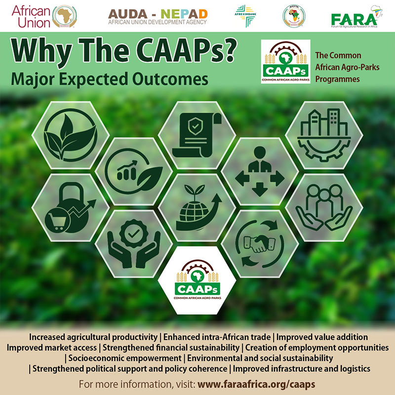 CAAPs Brand Strategy (Digital)