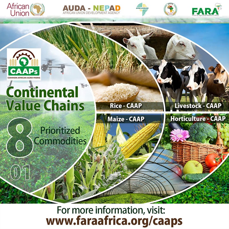 CAAPs Brand Strategy (Digital)