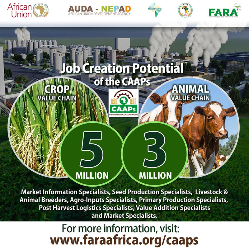 CAAPs Brand Strategy (Digital)