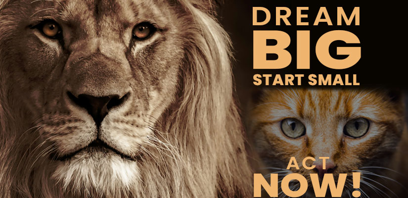Dream Big, Start Small, Act Now!