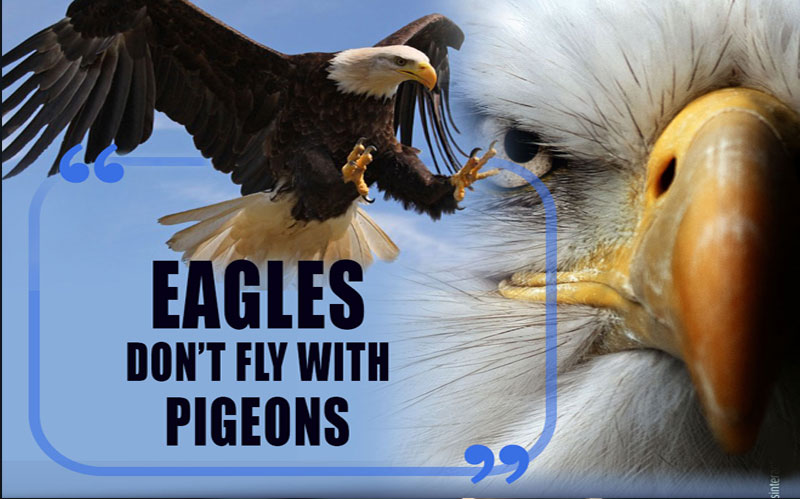 Eagles Don’t Fly With Pigeons