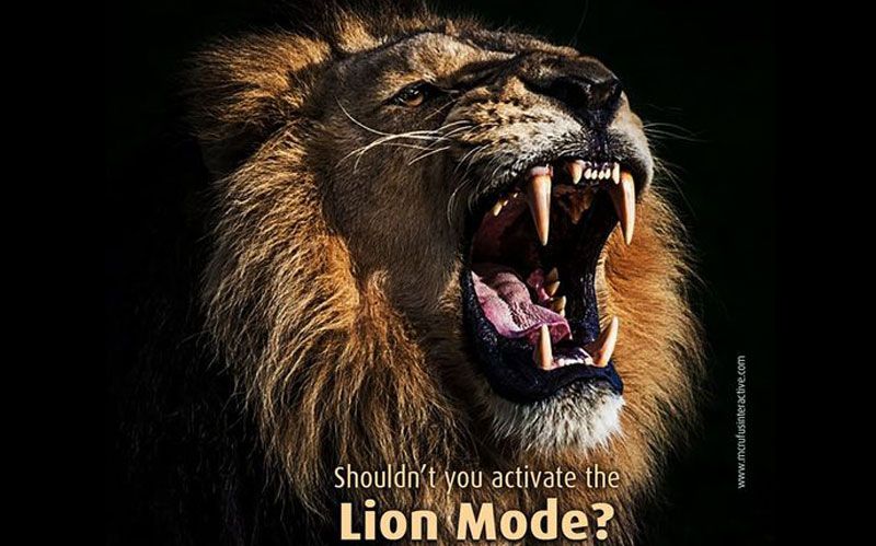 Shouldn’t you activate the Lion Mode now?